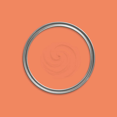 Starlit Coral Paint swatch icon