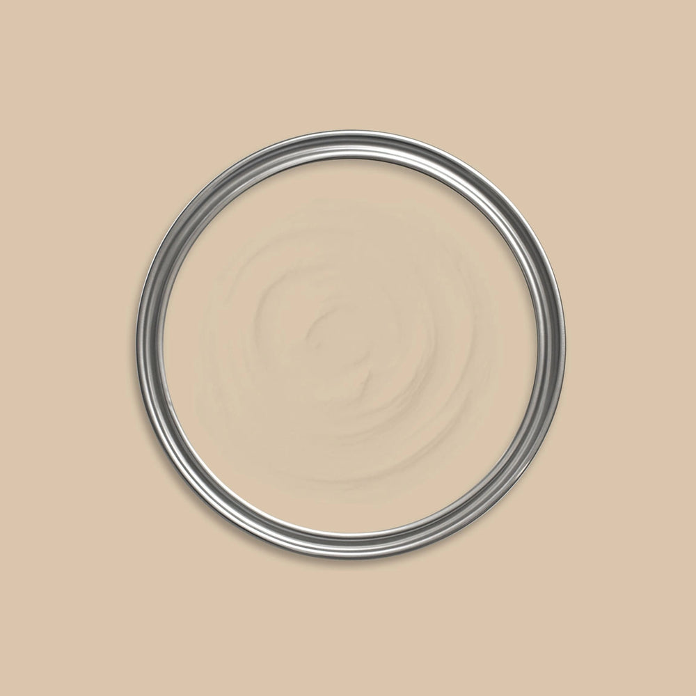 Troy Paint