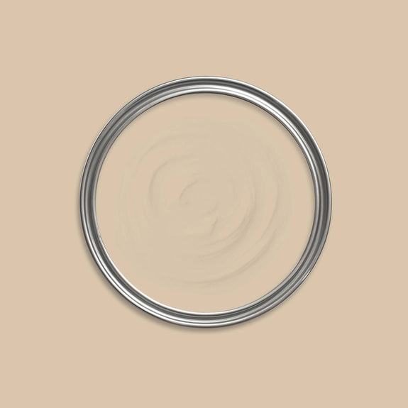 Troy Paint
