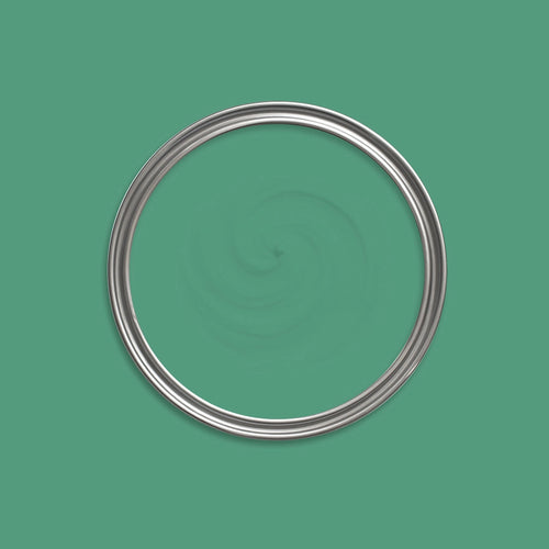 Darwin Green Paint swatch icon