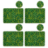Lime | Medium | 4