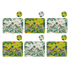 Mixed | Large | 6
