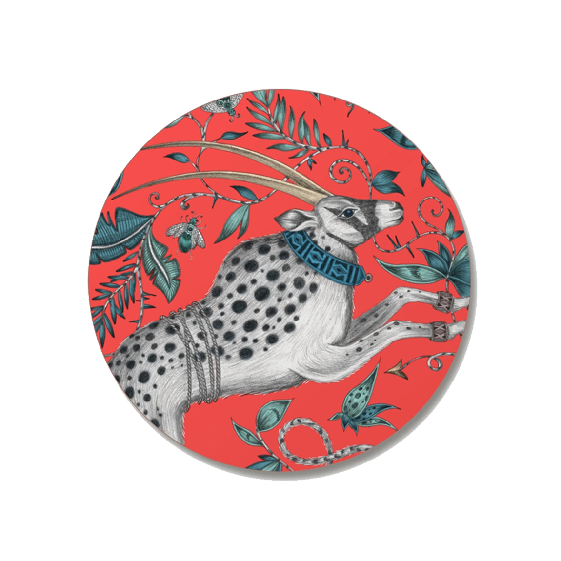 Protea Coaster