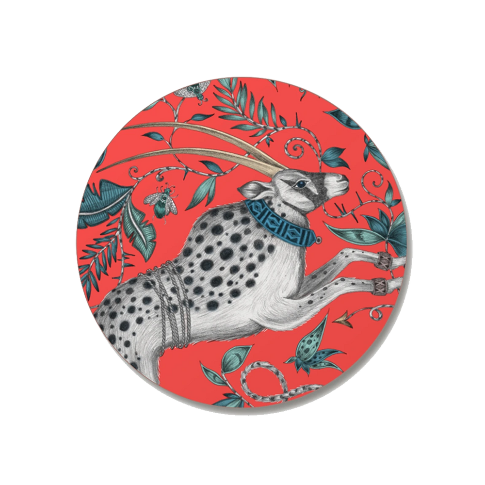 Protea Coaster