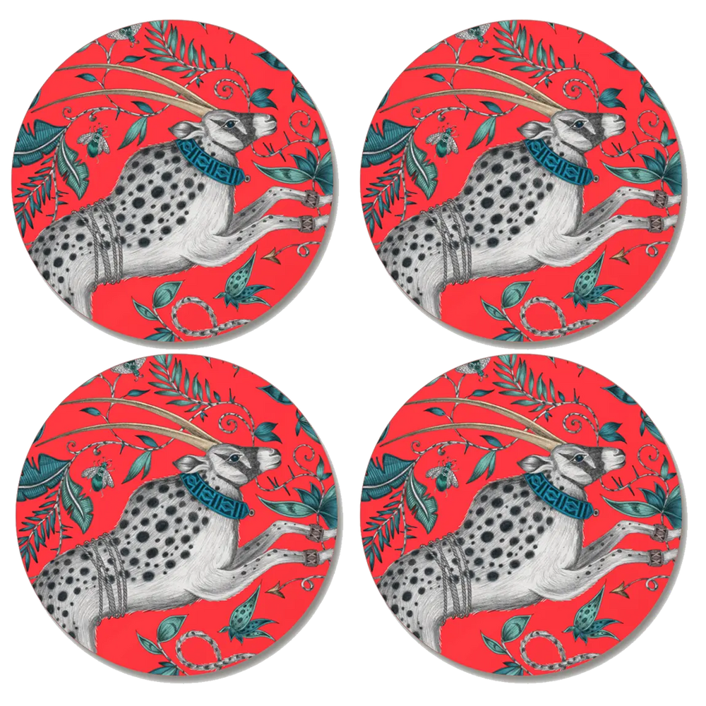 Protea Coaster