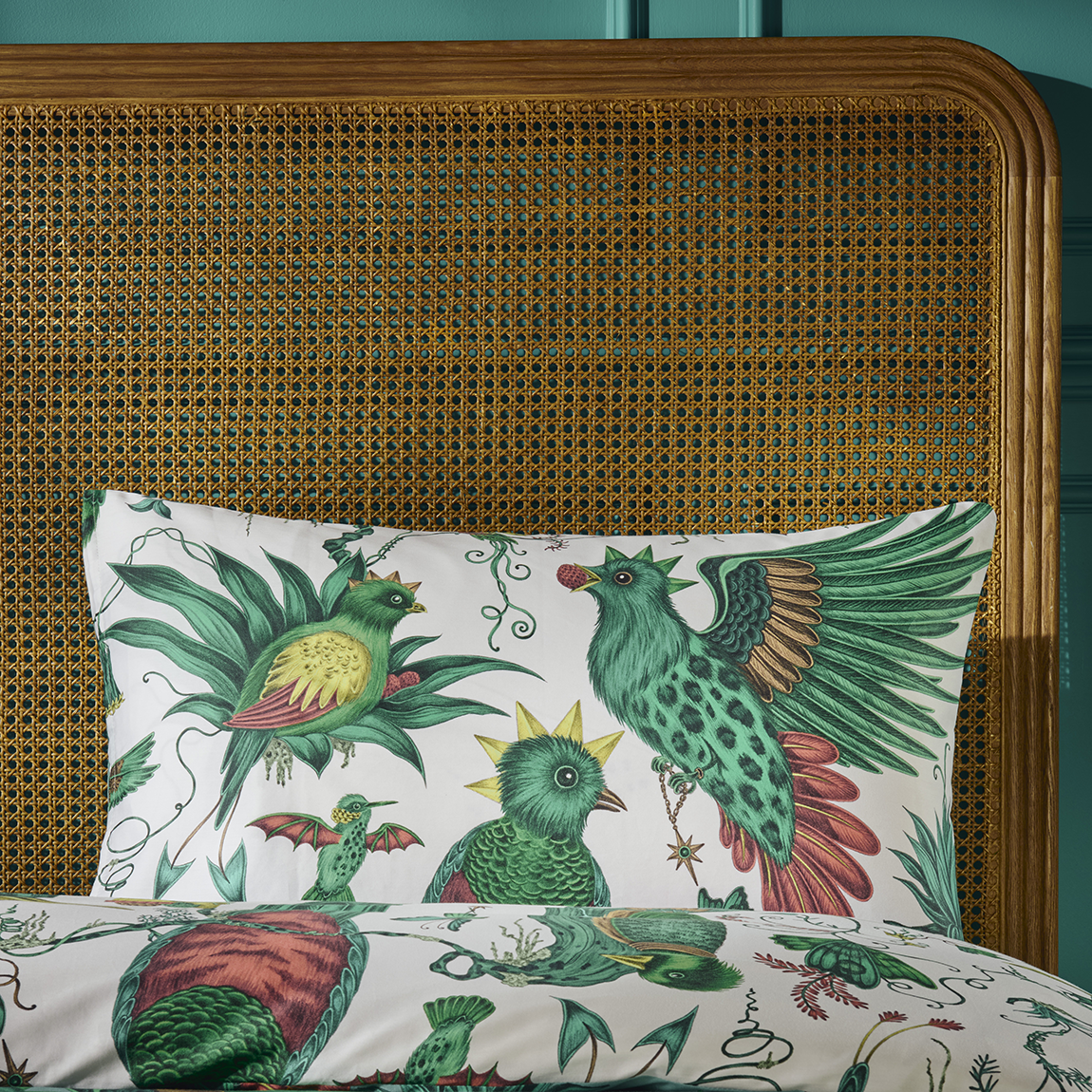 Quetzal Standard Pillowcases - Pair