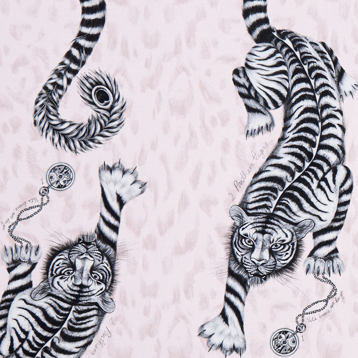 Tigris Cotton Satin Fabric