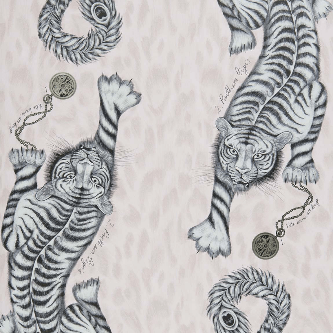 Tigris Wallpaper