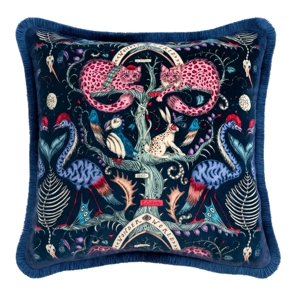 Wonder World Luxury Velvet Cushion