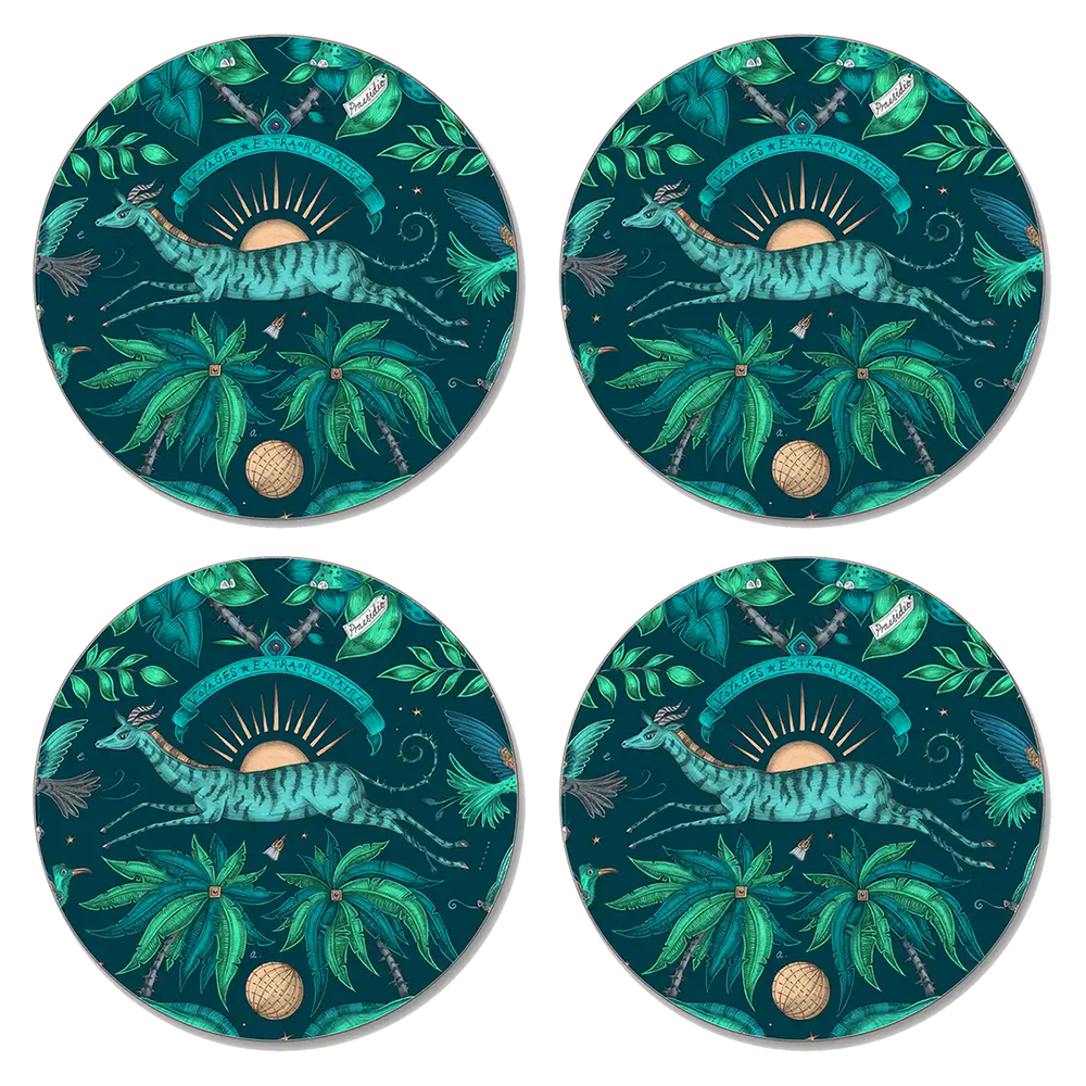 Zambezi Coaster