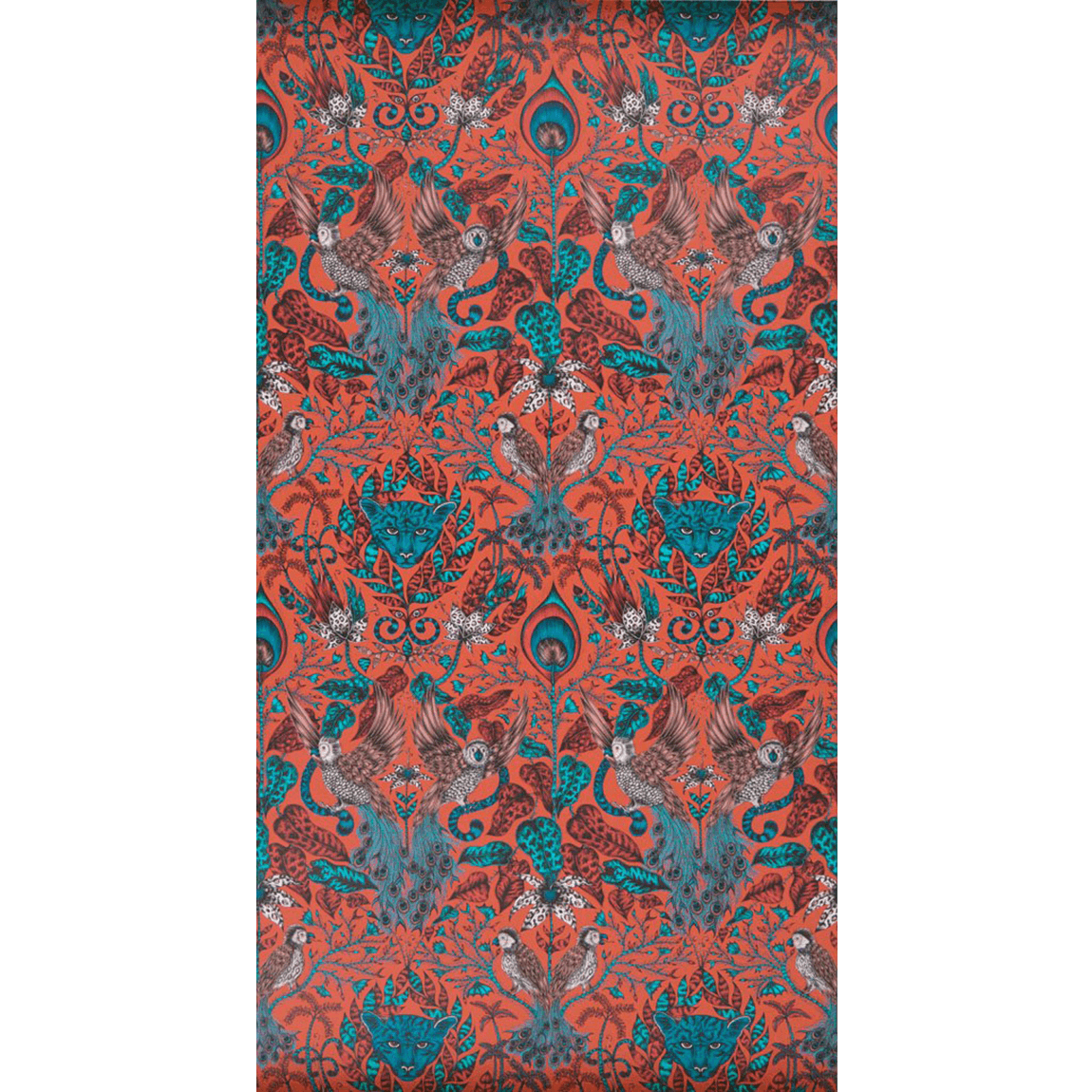 Emma J Shipley Amazon Wallpaper