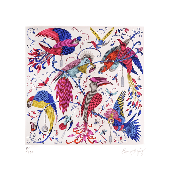 Multi | 8 x 10 inches | The 8 x 10 inch of the Audubon print in multi colours, with bright vibrant blues, magentas and yellows
