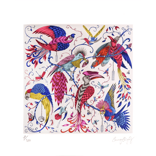 The 8 x 10 inch of the Audubon print in multi colours, with bright vibrant blues, magentas and yellows