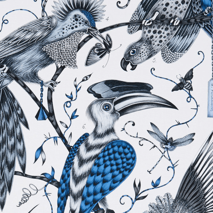 Audubon – Emma J Shipley