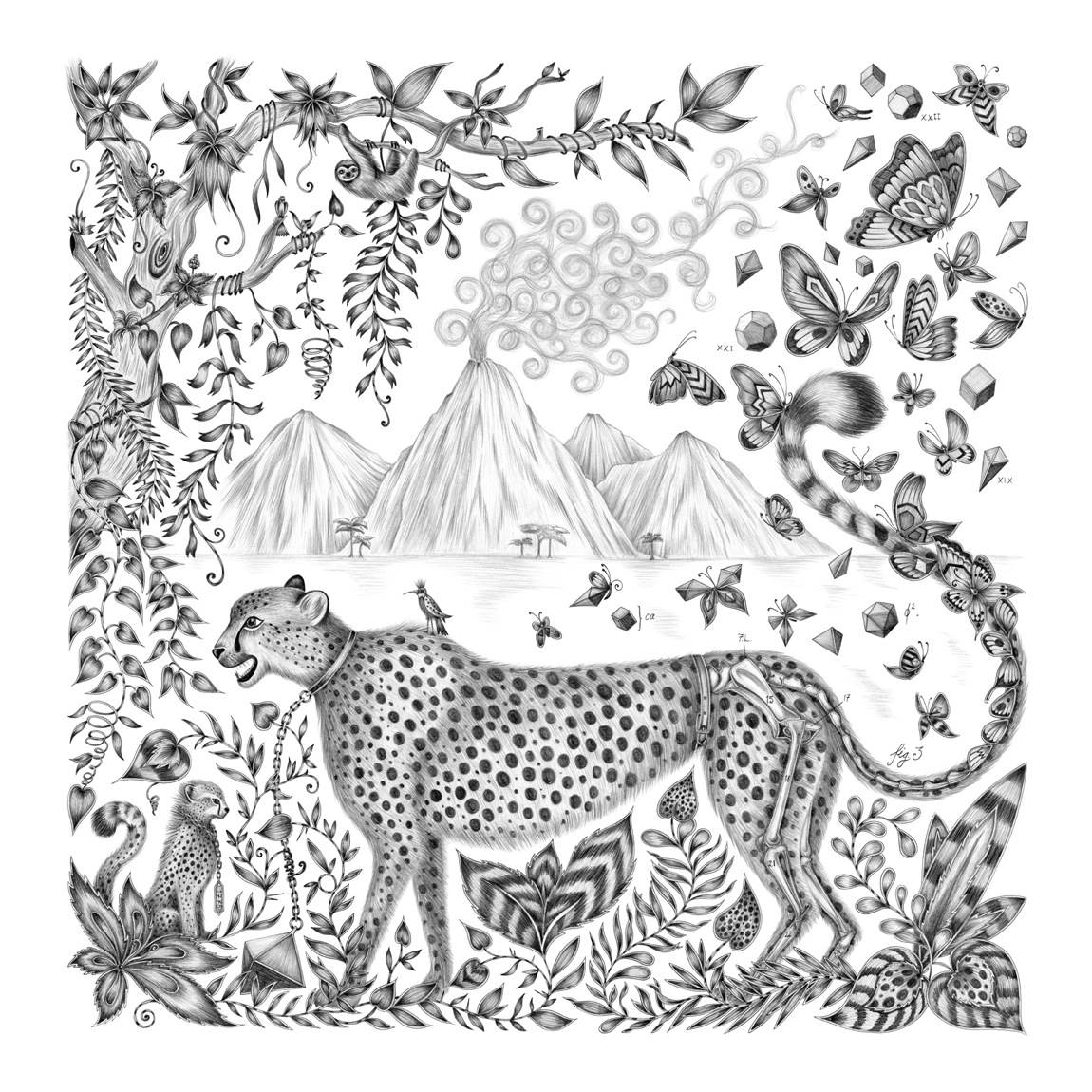 Cheetah Fine Art Print