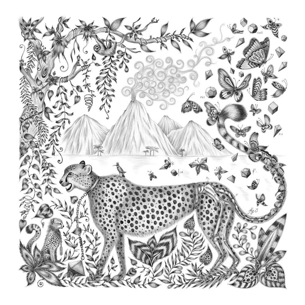 Cheetah Fine Art Print