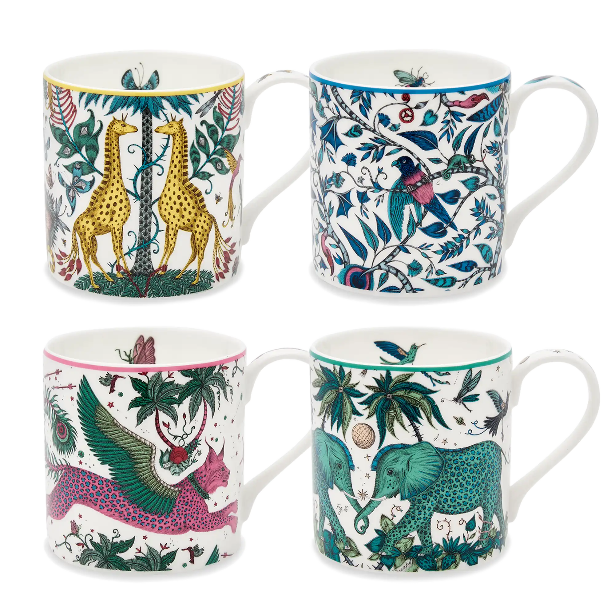 The Explorer Mugs - Set of 4