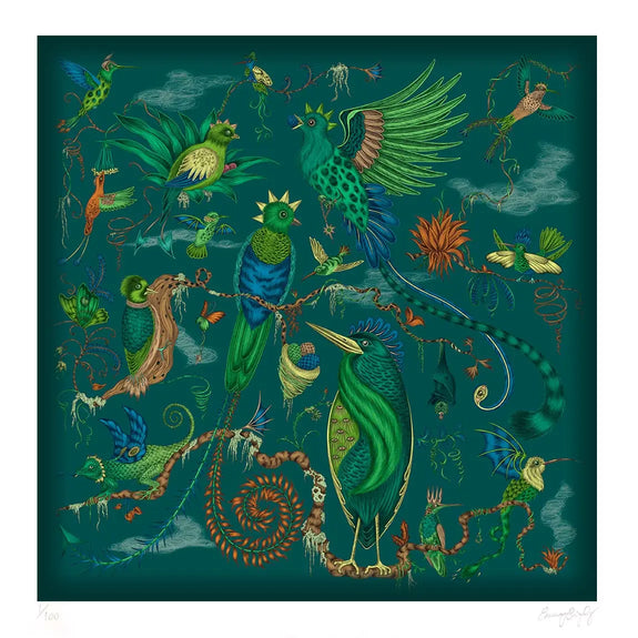 16 x 16 inches | Quetzal Art Print in Teal inspired by Costa Rica's Cloud Forest designed by Emma J Shipley in London