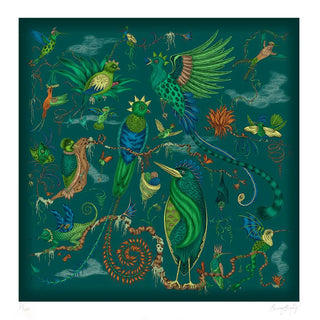 Quetzal Art Print in Teal inspired by Costa Rica's Cloud Forest designed by Emma J Shipley in London