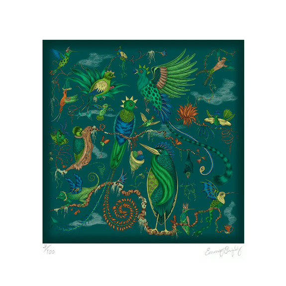 8 x 10 inches | Quetzal Art Print in Teal inspired by Costa Rica's Cloud Forest designed by Emma J Shipley in London