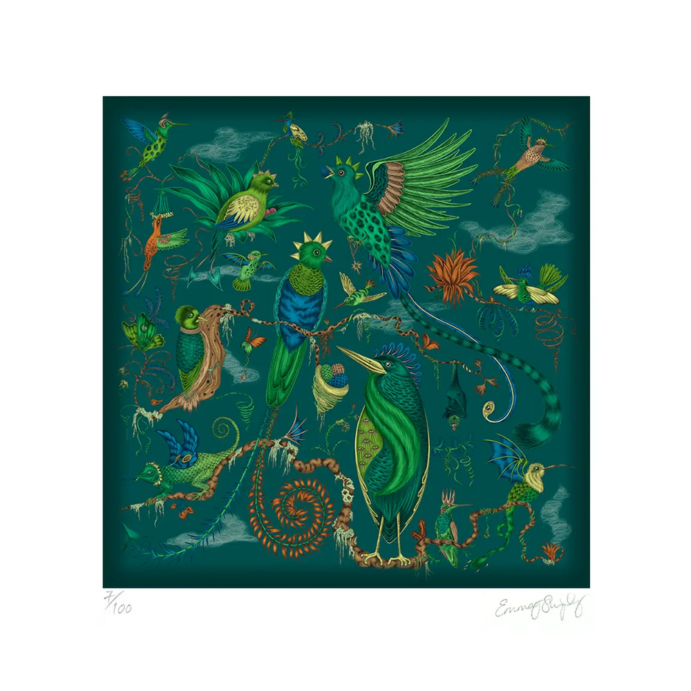 Quetzal Fine Art Print - Teal