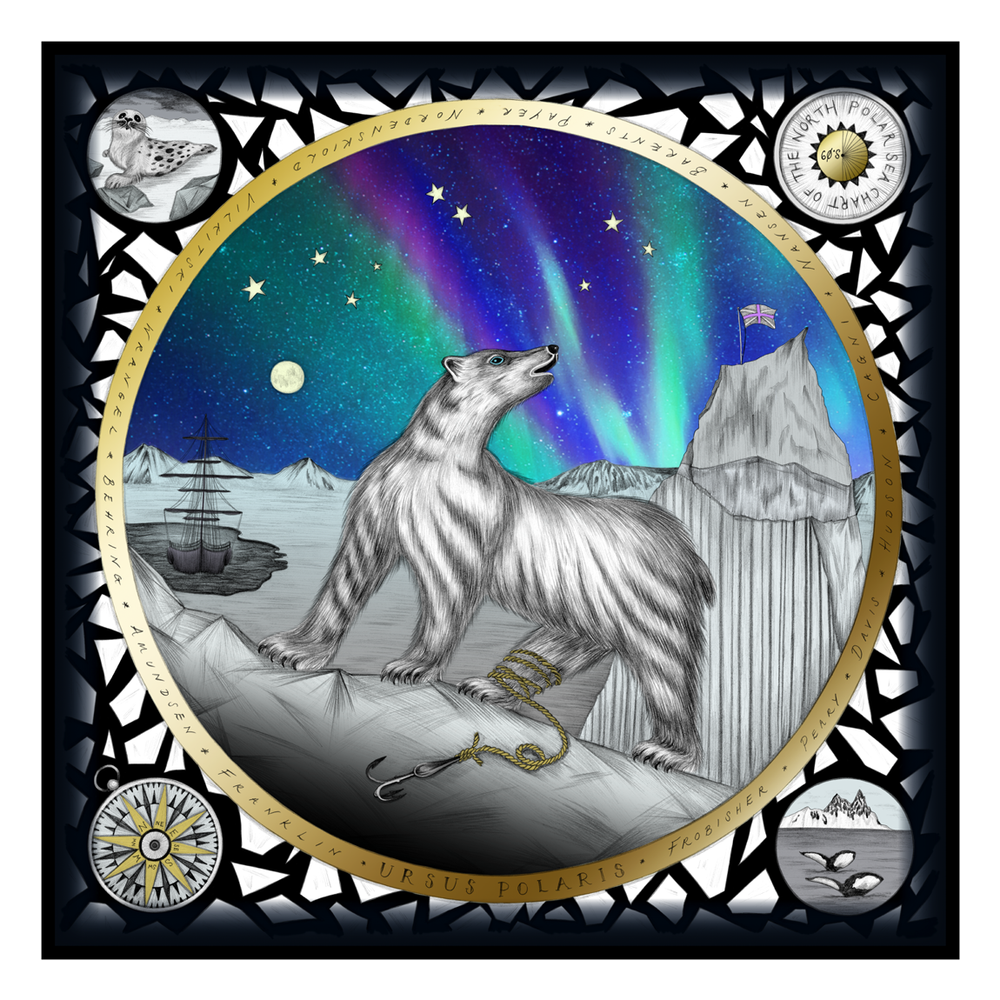 Aurora Fine Art Print