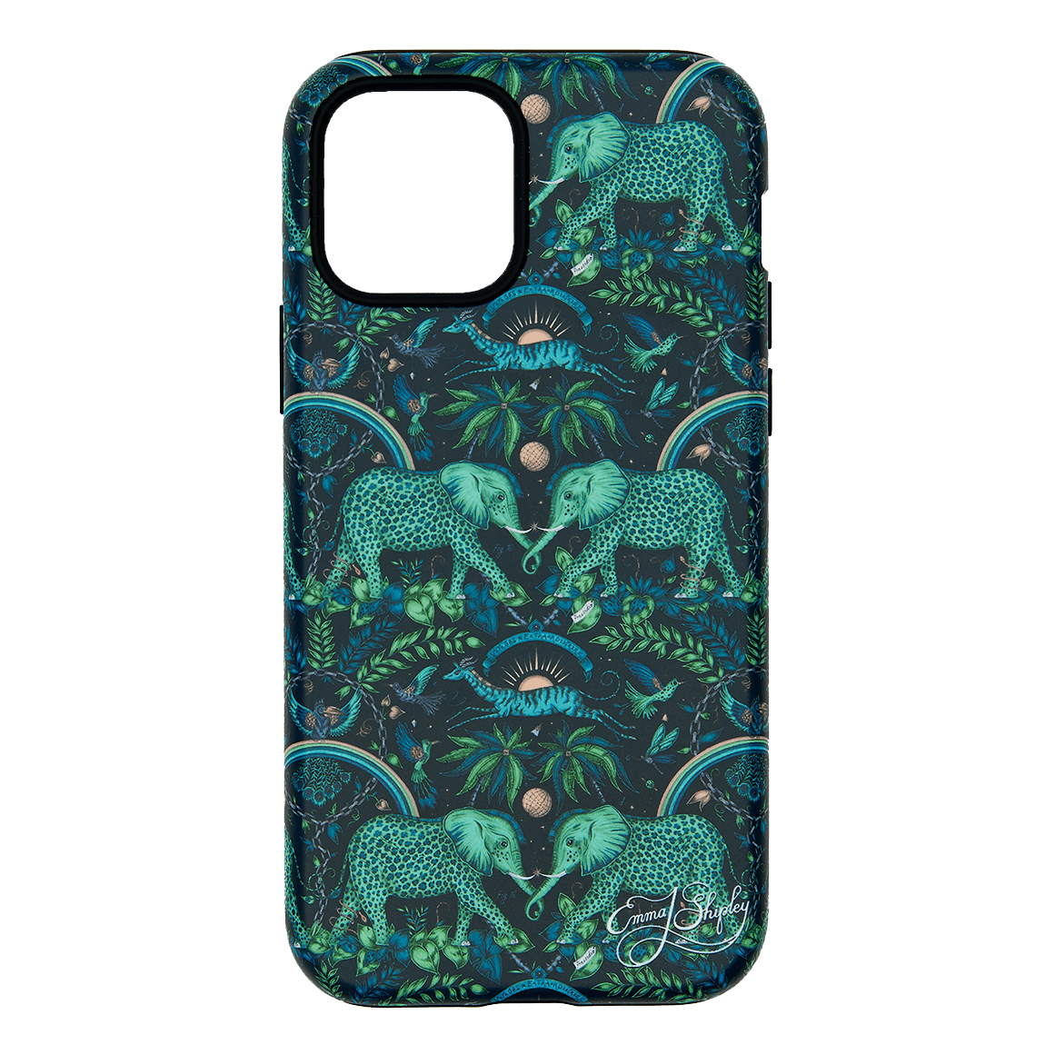 Zambezi iPhone Case