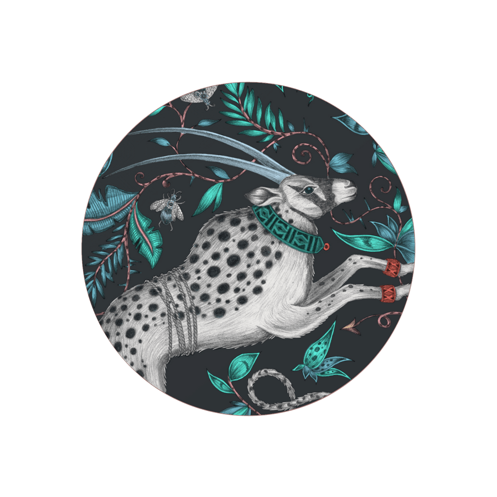 Protea Coaster