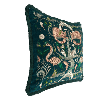 Wonder World Luxury Velvet Cushion