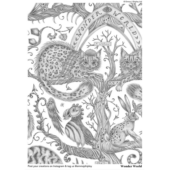 The Emma J Shipley Wonder World Print in colouring form, the perfect project to inspire, occupy and just to add a little bit of animal magic to life