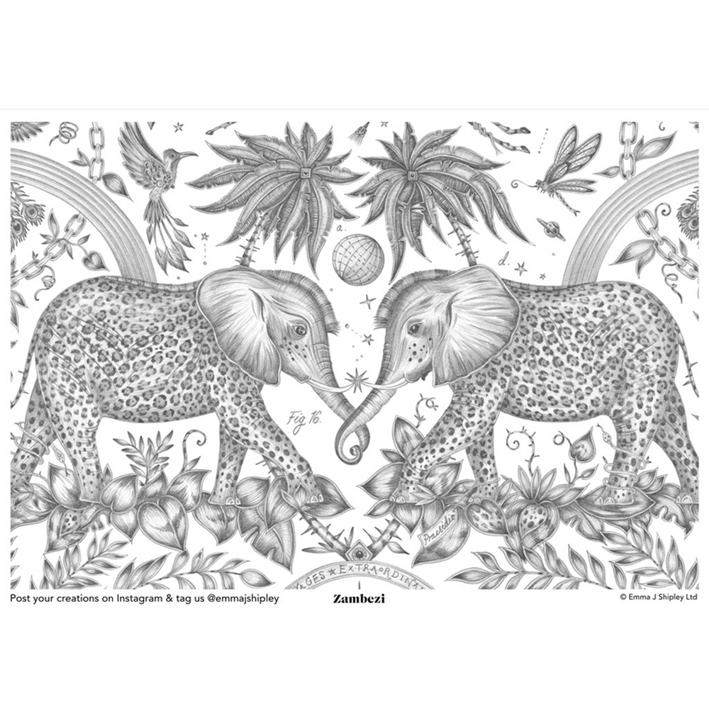 Zambezi Colouring Page Free Download