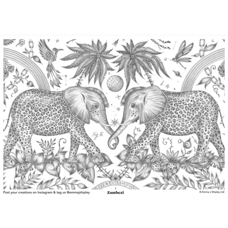 The Emma J Shipley Zambezi Print in colouring form, the perfect project to inspire, occupy and just to add a little bit of animal magic to life